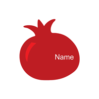 Tefillin bag Pomegranate single