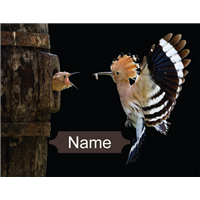 Tallit bag Hoopoe