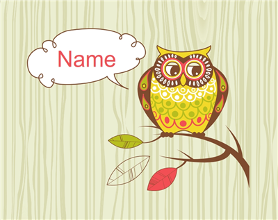 Tallit bag Owl