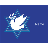 Tallit bag Dove Star